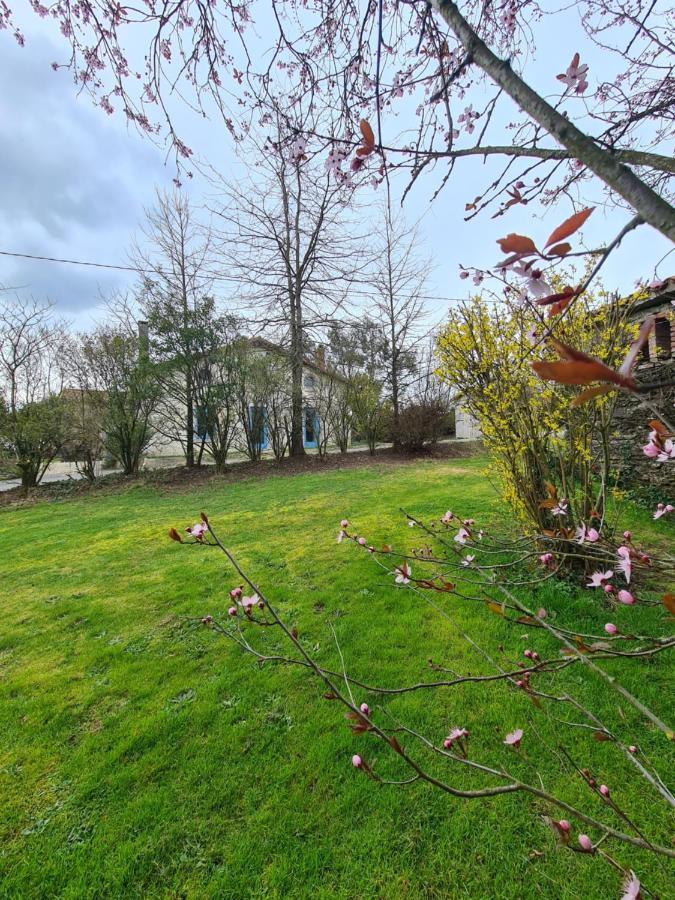 Villa Le Terrier maison de campagne 250 m2 grande capacité 20 couchages, 4500m2 de terrain à Saint-Pierre-du-Chemin Extérieur photo